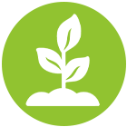 Team Growth